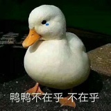 小野悦子