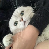 alongacresent
