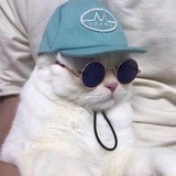 其实我很懒丶