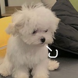 请你吃糖