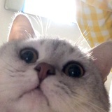 ㅤ