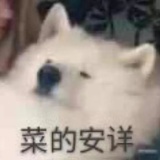 报复性熬夜