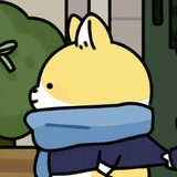 屋顶四只猫