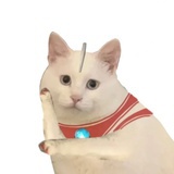 简约复制人