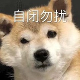 骆驼祥子