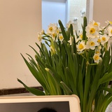 荔汁汁汁