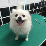 此时此刻