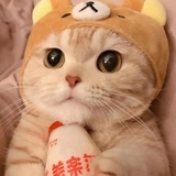 芋泥小啵啵