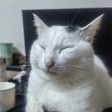 怪味花生