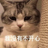 蘑菇我是香菇啊