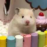 呱