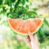 西瓜瓜🍉芒果果