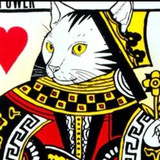 猫K
