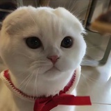 嘿嘿嘿