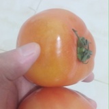 通辽农产品