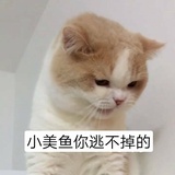 啾啾啾啾啾啾