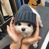 Yuii