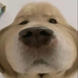 你究竟在说什么