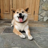 林小枫