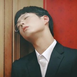 呆头