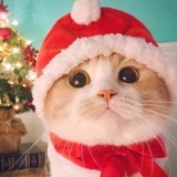 笙笙