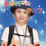 纽岛费