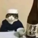 男神是零