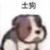 有点儿疯
