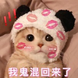 芝芝莓莓