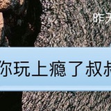 白彗星´