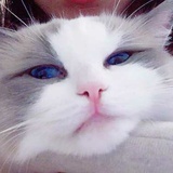 豆友208609943