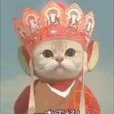 淡蓝色の忧伤