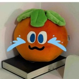 雾里拾光