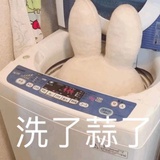 洗了蒜了