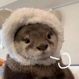 爱叫啥叫啥