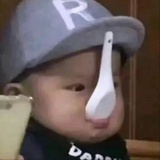蹦迪大鹅