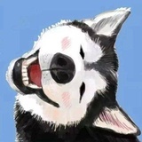 豆包不吃豆