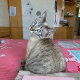 money滴养钱人