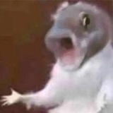 噼里啪啦