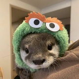 🦴