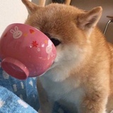 十三月