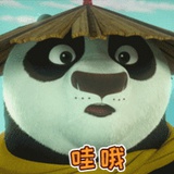 果壳中没有宇宙