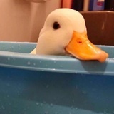 等等