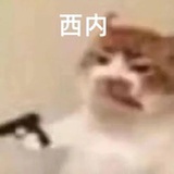 看什么看