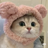 李狗蛋