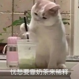 乌头拌饭