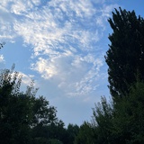 阿加莎
