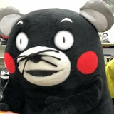 陈先生