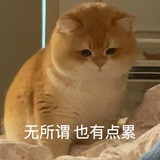 半棵