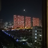 大豆